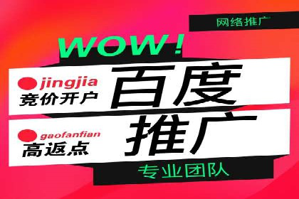 百度SEM代运营案例揭秘，如何实现ROI最大化
